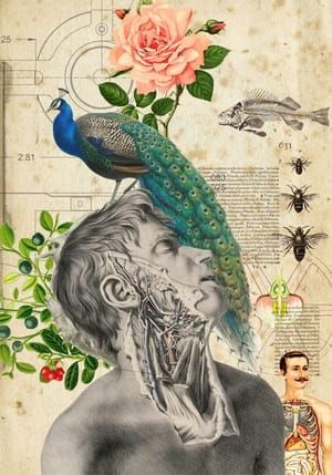 Artwork Title: Deliri anatomici