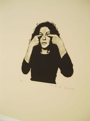 Artwork Title: El no vist
