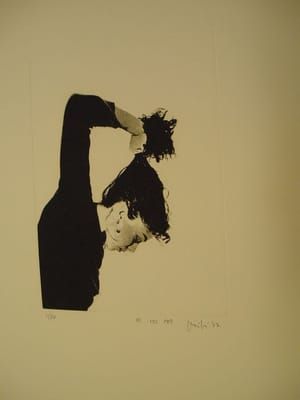 Artwork Title: El no fet