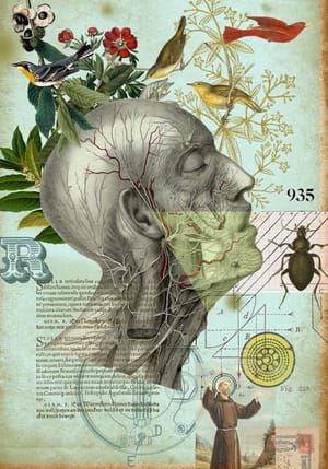 Artwork Title: Deliri anatomici