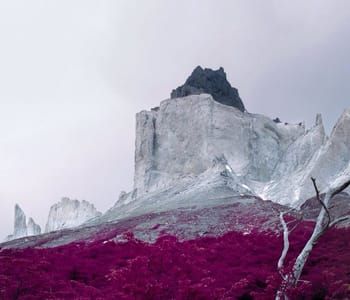 Artwork Title: Ultima Esperanza