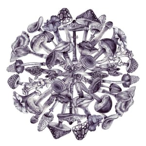 Artwork Title: Mushroom Explosion