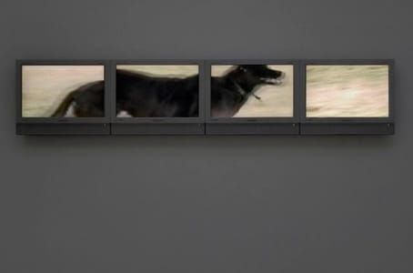 Artwork Title: Untitled