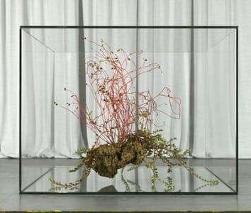 Artwork Title: Appartenenze