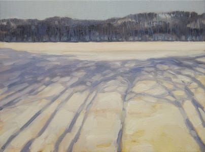 Artwork Title: Shades (Natuurlijk, Schaduw!)