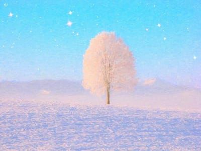 Artwork Title: Samotne drzewo w śniegach pod gwiazdami,  (Solitary Tree in the Snow under the Stars)