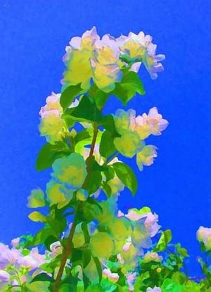 Artwork Title: Blossoming twig (Blühender Zweig, Kwietna gałązka)