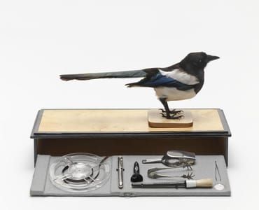 Artwork Title: The Magpie's box