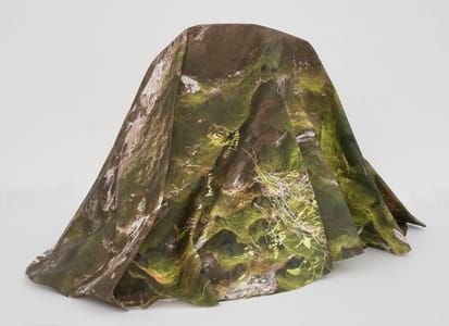 Artwork Title: Rock Moss Cliff