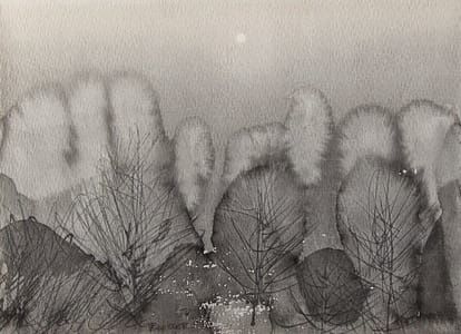 Artwork Title: Untitled