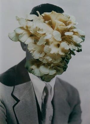 Artwork Title: This Charming Man (II)