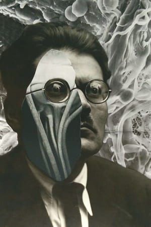 Artwork Title: Untitled