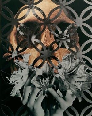 Artwork Title: (We Are) Equally Damaged