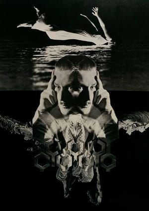 Artwork Title: The Medium