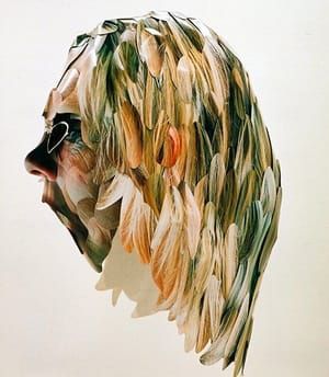 Artwork Title: Untitled