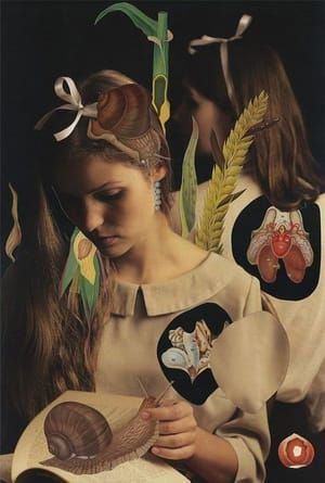 Artwork Title: Untitled