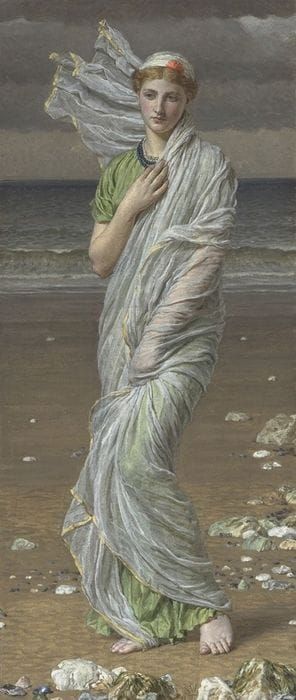 Artwork Title: Seashells