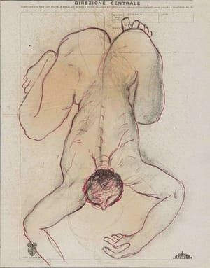 Artwork Title: Studio Per Narciso
