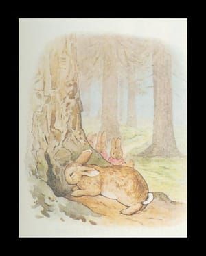 Artwork Title: Peter Rabbit