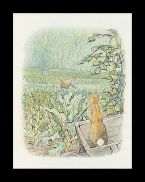 Artwork Title: Peter Rabbit