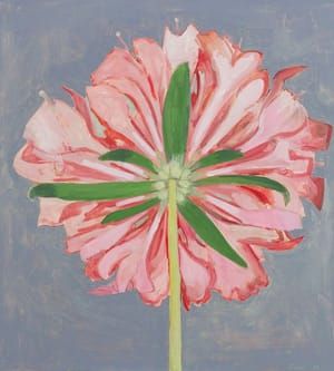 Artwork Title: Pink Scabiosa, Back View