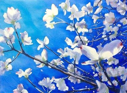 Artwork Title: Dogwood