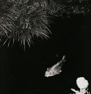 Artwork Title: Yugano, Shizuoka, from 'Monogusa Syui'