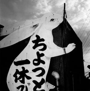 Artwork Title: Yao, Osaka