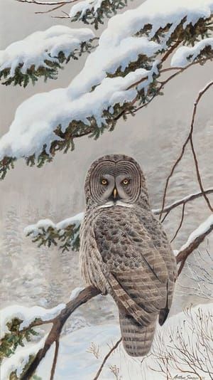 Artwork Title: Great Gray Owl