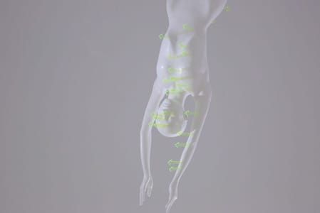 Artwork Title: Untitled