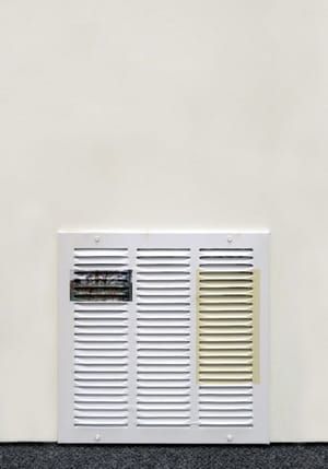 Artwork Title: Vent (Depictions of extinction in the 20th century)