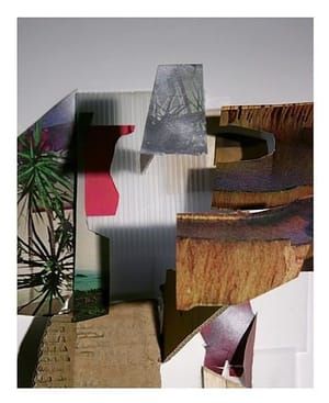 Artwork Title: Figure Landscape