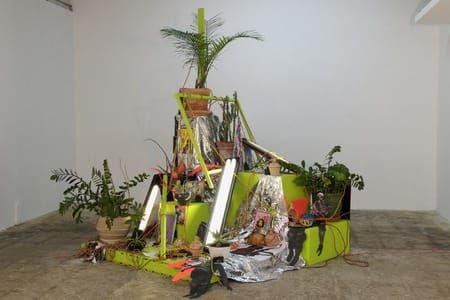 Artwork Title: Flowers & Terrorists