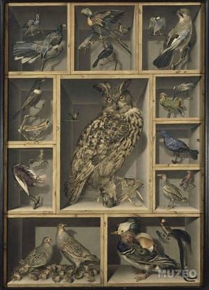 Artwork Title: Nature morte aux oiseaux exotiques