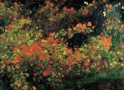 Artwork Title: Augustus Oostindische kers (August Nasturtiums)