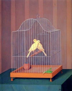 Artwork Title: Due canarini in gabbia