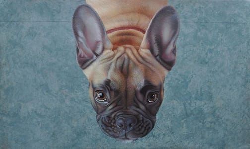 Artwork Title: Fransman II