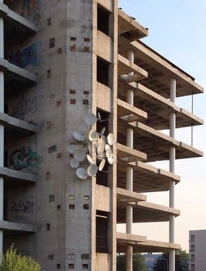 Artwork Title: Nest 03