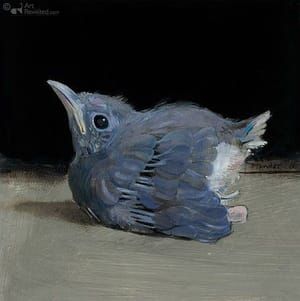 Artwork Title: Jonge Lijster (Young Thrush)
