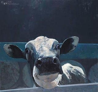Artwork Title: Kalf 2 (Calf 2)
