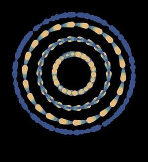 Artwork Title: Circle Sorting - Processing