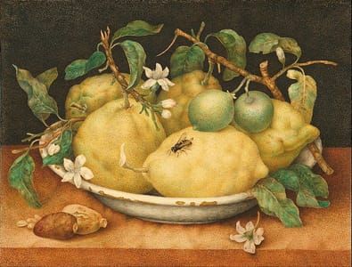 Artwork Title: Still Life with Bowl of Citrons