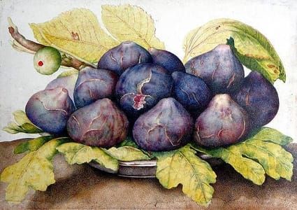 Artwork Title: Plate of Figs, 1661