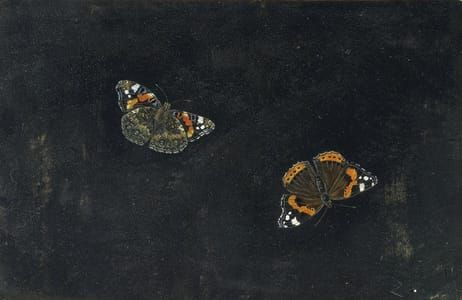 Artwork Title: Two Butterflies