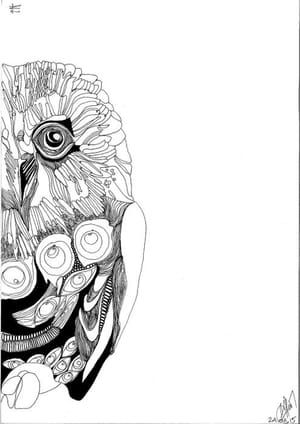 Artwork Title: O.w.l