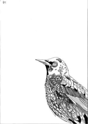 Artwork Title: Skvorets