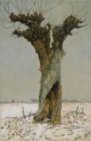 Artwork Title: Knotwilg in de Sneeuw