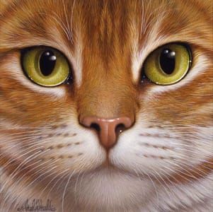 Artwork Title: Orange Tabby