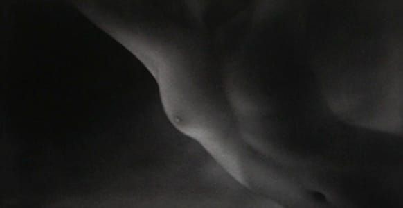 Artwork Title: S'envoler