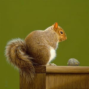 Artwork Title: Acorn